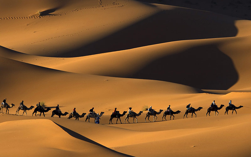 travels-africa-sahara